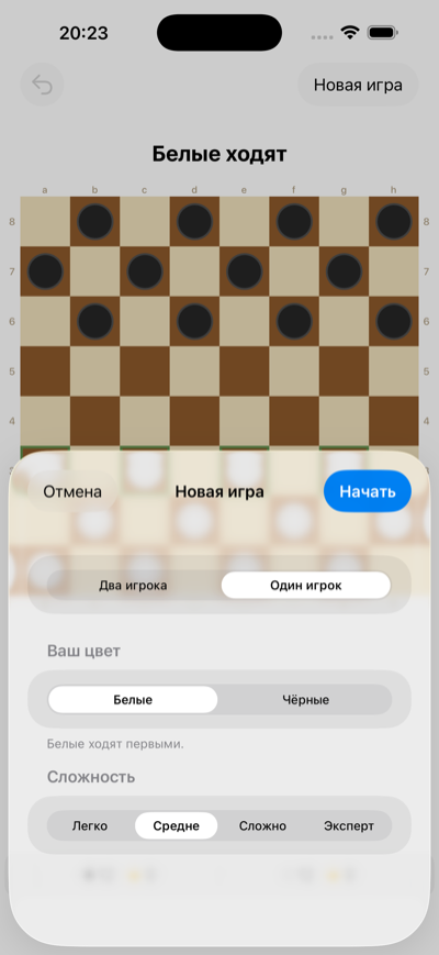 Настройки новой игры